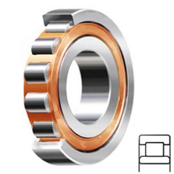 SKF NU 2313 ECP/C3 Rodamientos de Rodillos Cilíndricos