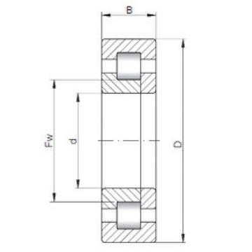 Rodamiento NUP3052 CX