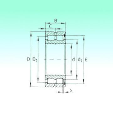 Rodamiento SL185018 NBS