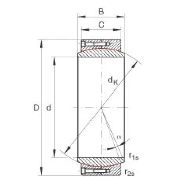 Rodamiento GE460-DW INA