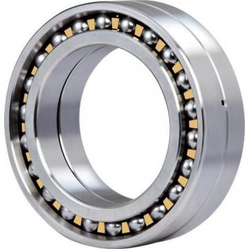 108TN WIB Self Aligning Ball Bearing Double Row