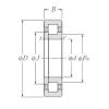 Rodamiento NUP238 CYSD