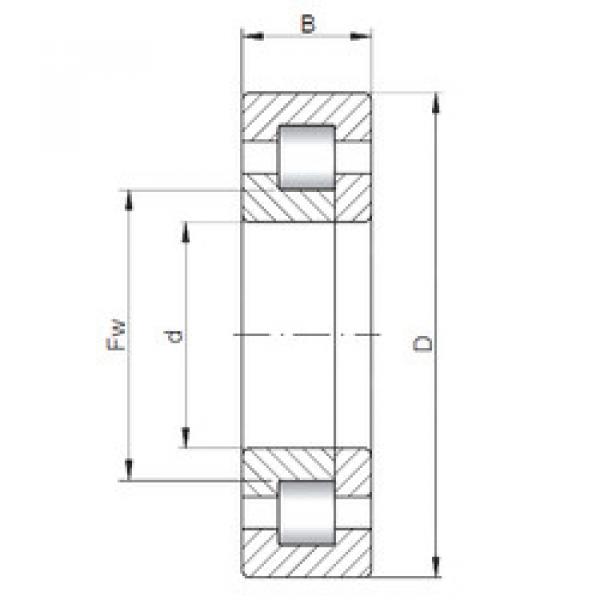 Rodamiento NUP3052 CX #1 image