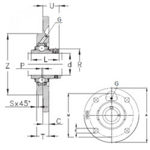 Rodamiento RMEY45 NKE #1 image