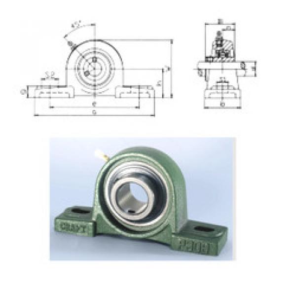 Rodamiento UCP305 CRAFT #1 image